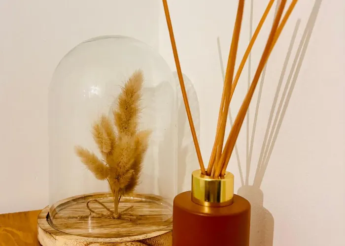 Bohème Avec Vue Sur La Cathédrale *